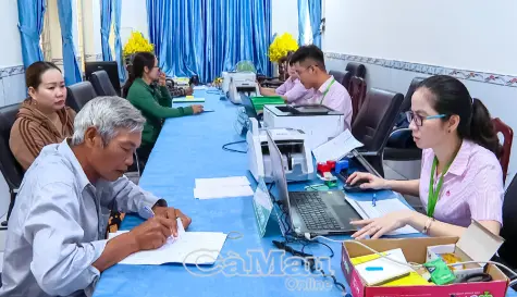 Ngân hàng Chính sách xã hội Bạc Liêu giải ngân vốn hỗ trợ việc làm