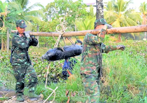 Hơn 166 tỷ đồng rà phá bom mìn, vật nổ tại Cà Mau