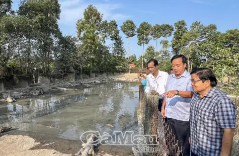 Vĩnh Thanh cần tạo đột phá phát triển