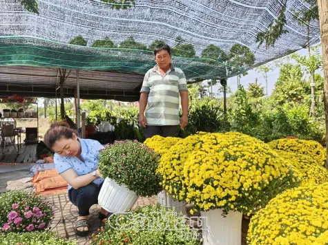 Thị trường hoa kiểng Tết khởi động sớm