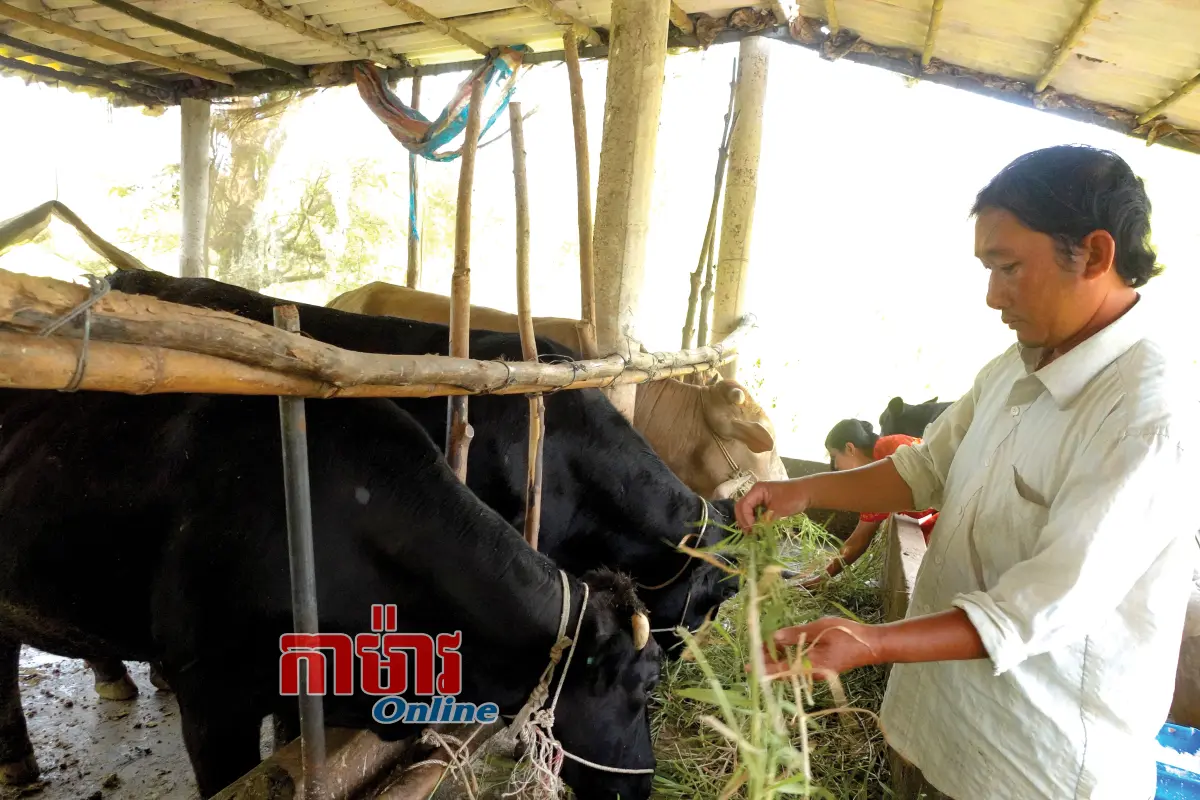 ជាដងថ្លឹងដើម្បីចាកផុតភាពក្រីក្រ