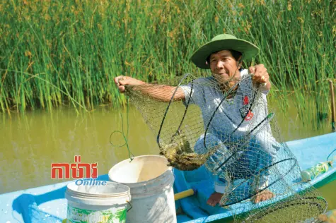 កសិករ "មានបាន" អាស្រ័យគំនិតចិញ្ចឹមបង្គាចីរភាព