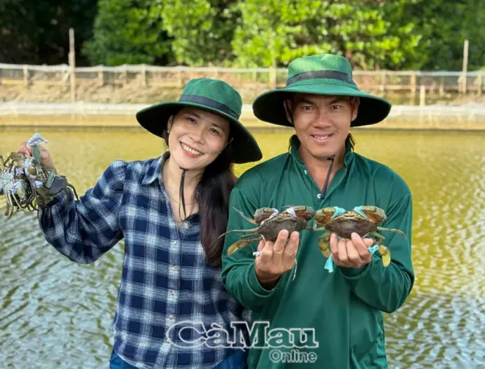 Dược sĩ bỏ phố về quê làm nông nghiệp xanh