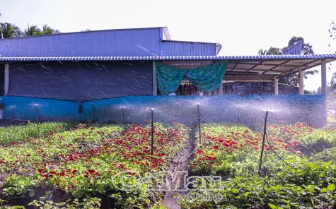 Hiện đại công nghệ tưới tiêu