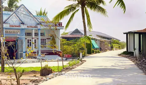 Xuân về trên tuyến đường Tà Suôl