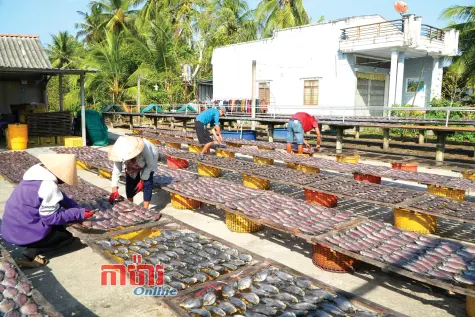 ភូមិរបរងៀតត្រីកន្ធឈានចូលនិទាឃរដូវ