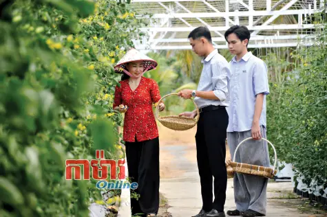 ផ្លែផ្អែមលើតំបន់ដីប្រៃ