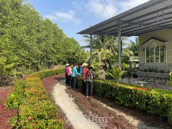 Xuân về trên những tuyến đường quê