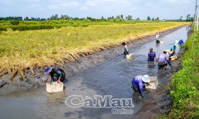 Xây dựng kinh tế nông nghiệp hiện đại