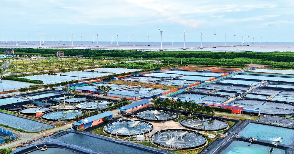 Tinh hoa từ rừng, biển