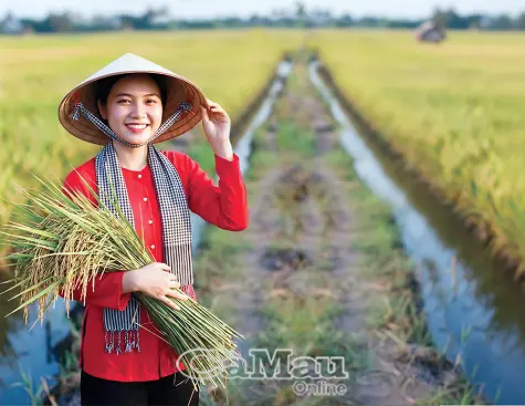 Gạo Cà Mau lên ngôi