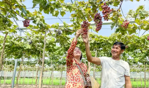 Nghị quyết 57 đi vào thực tiễn