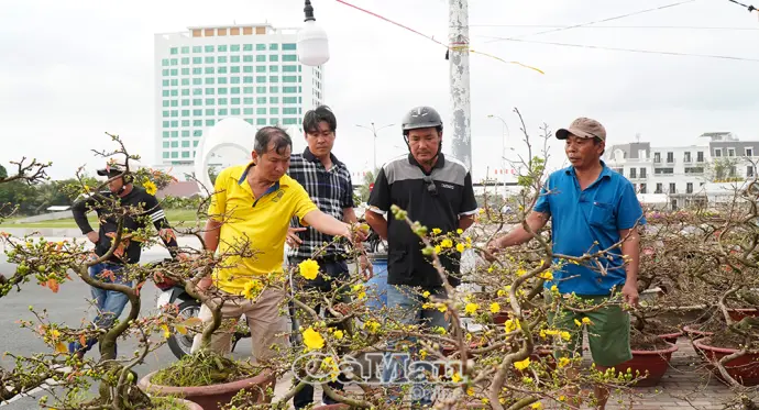 Chợ hoa Tết bắt đầu nhộn nhịp