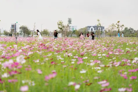 Check-in đúng điệu, khởi triệu sung túc cùng Happy Home Cà Mau