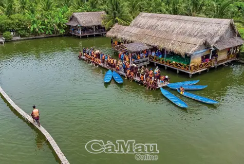 Màu xanh dưới tán rừng