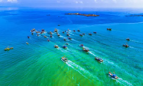 Nhiếp ảnh thay đổi cuộc sống