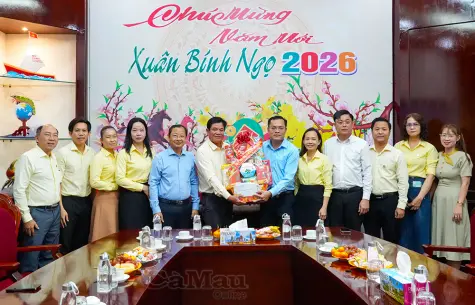 Phó Chủ tịch UBND tỉnh Ngô Vũ Thăng chúc Tết các đơn vị văn hoá - nghệ thuật