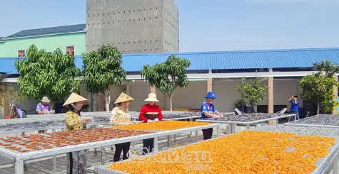 Phụ nữ Cà Mau “săn” OCOP