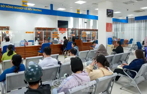 Quyết liệt cải cách hành chính ngay từ đầu năm