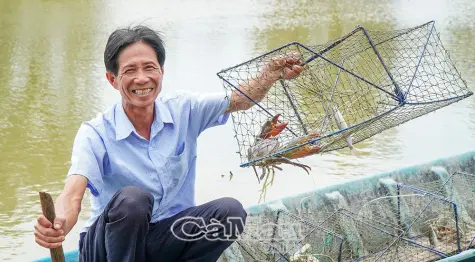 Cận Tết, đặc sản trứ danh cua gạch Cà Mau đạt giá hơn 1 triệu đồng/kg