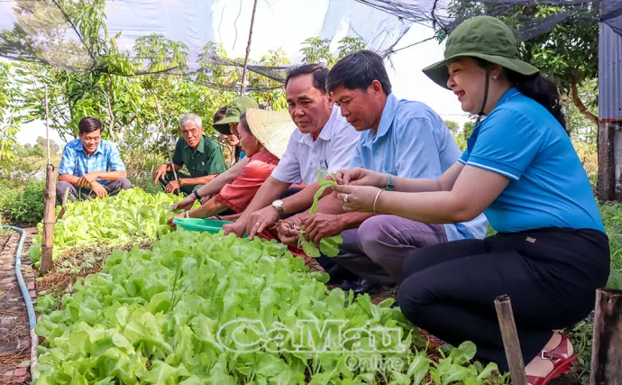 Xuân về trên vùng nước mặn