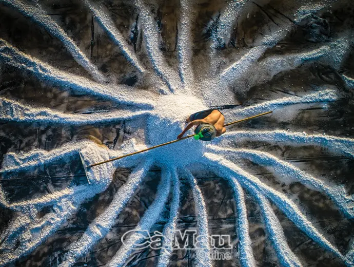 Mặn mà vị muối Cà Mau