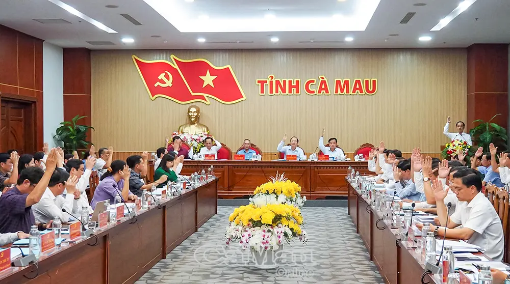 Tỉnh uỷ Cà Mau thông qua Chương trình hành động thực hiện Nghị quyết Đại hội XIV của Đảng