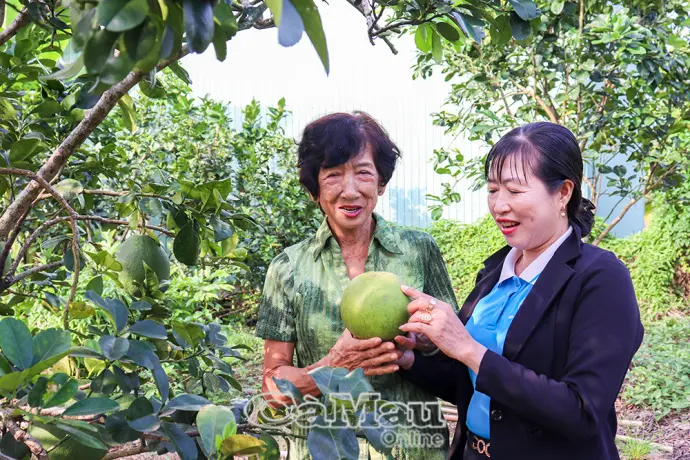 Sinh kế bền vững từ kinh tế tập thể