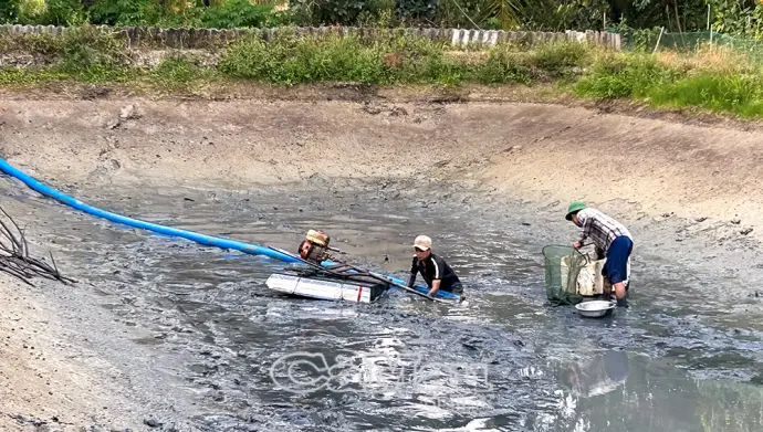 Xuống đồng đầu năm