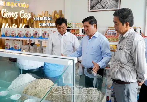 Nền tảng cho Cà Mau phát triển nhanh, bền vững