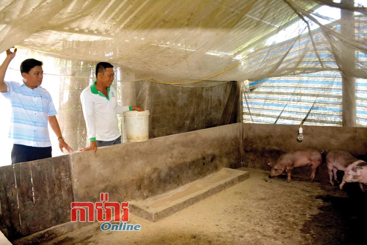 ពិពិធកម្មក្នុងការរស់នៅដើម្បីរួចចាកប្រកៀកបន្ទាត់ក្រ