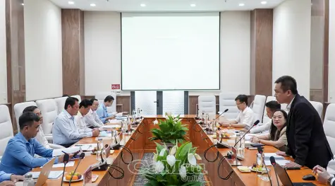 Vingroup đề xuất đầu tư nhà máy điện gió ngoài khơi 3.000 MW tại Cà Mau