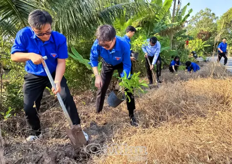 Sức trẻ chung tay xây dựng quê hương