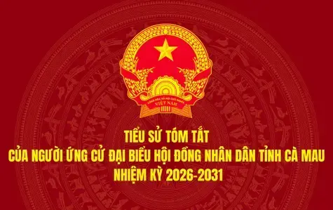 Tiểu sử tóm tắt của người ứng cử đại biểu Hội đồng nhân dân tỉnh Cà Mau nhiệm kỳ 2026-2031 (Đơn vị bầu cử số 11)