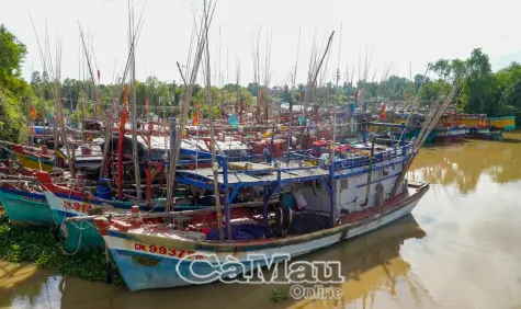 Tăng cường giải pháp xuất khẩu hàng hoá