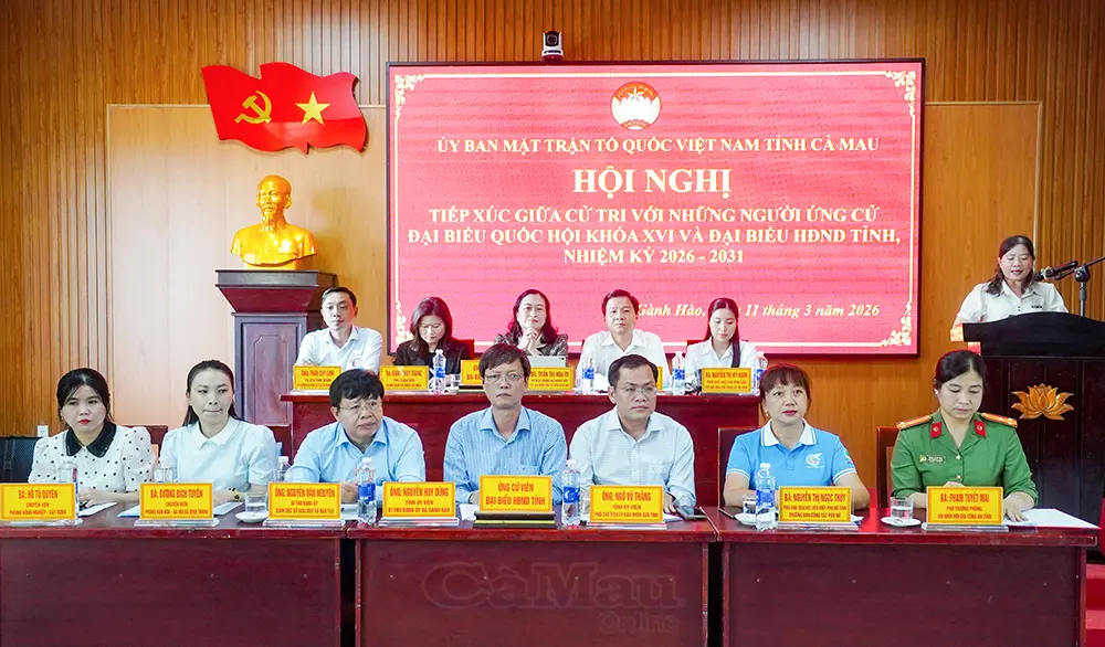 Cam kết thực hiện tốt vai trò đại biểu dân cử nếu được cử tri tín nhiệm