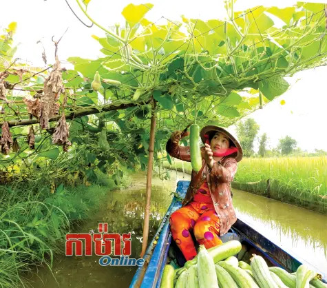 នារី Khmer មានទំនុកចិត្តក្នុងការធ្វើសេដ្ឋកិច្ចគ្រួសារ