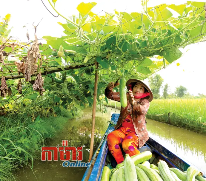 នារី Khmer មានទំនុកចិត្តក្នុងការធ្វើសេដ្ឋកិច្ចគ្រួសារ