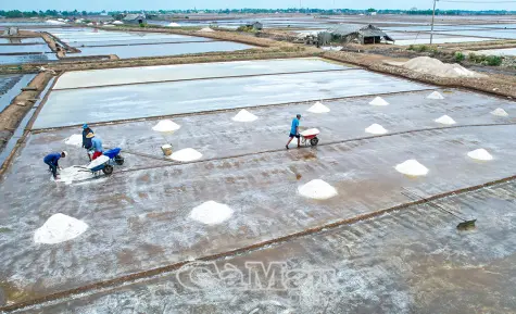 Hỗ trợ sản xuất nông nghiệp bị thiệt hại do thiên tai