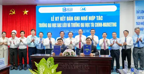 Hợp lực đào tạo, tạo cú hích chất lượng nguồn nhân lực vùng