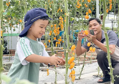 Vươn lên bằng tư duy mới