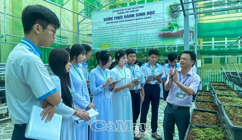 Không gian học tập trải nghiệm thiết thực