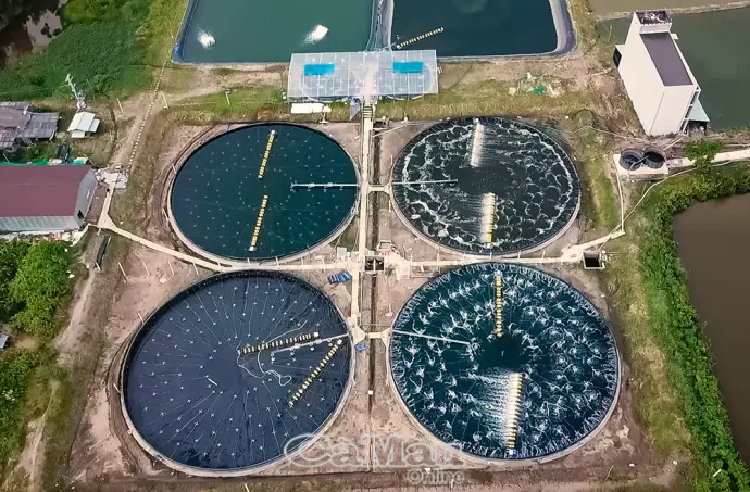 Doanh nghiệp đồng hành thúc đẩy tăng trưởng