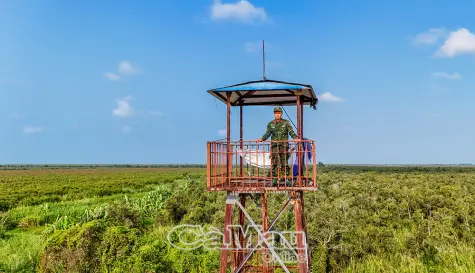 Canh lửa - giữ rừng