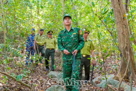 Chủ động bảo vệ rừng trên đảo Hòn Khoai