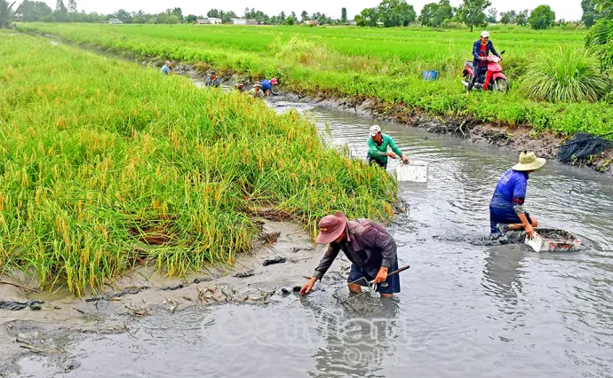 Xứng đáng với niềm tin “Ðảng cử - dân bầu”
