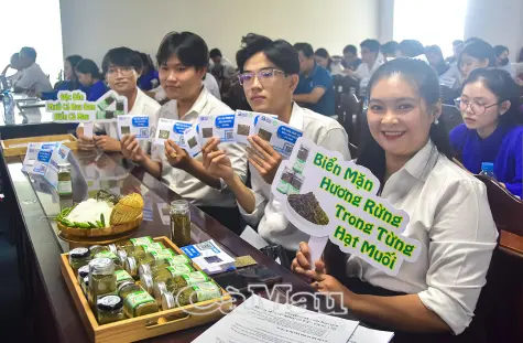 Cà Mau có 13 ý tưởng vào chung kết INNOBE 2026