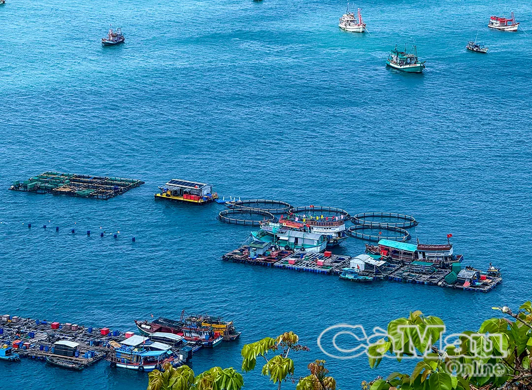 Hòn Chuối: Màu xanh của niềm tin bám biển