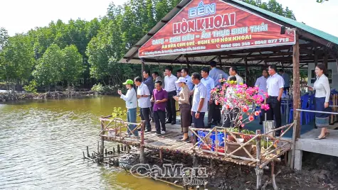 Đoàn công tác Lào khảo sát mô hình nuôi tôm sinh thái tại Xã Phan Ngọc Hiển