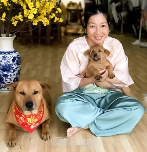 Trạm trung chuyển yêu thương cho chó, mèo bị bỏ rơi